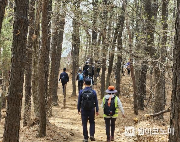 울창한 숲길이 이어지는 고봉누리길 (출처: 고양특례시)